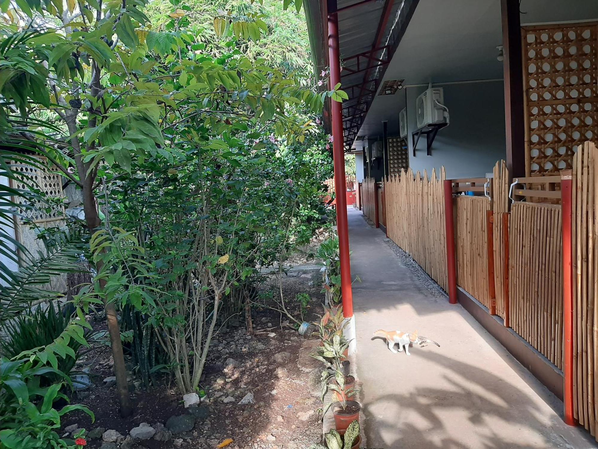 阿里姆佩森林公寓 邦劳 外观 照片